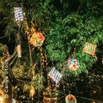 Indiegarten