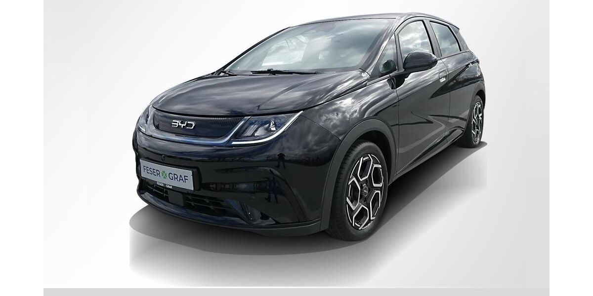 BYD DOLPHIN 10.000 km 29.660 &euro; Erlangen 91058