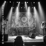 Colour Haze - Tour 2026