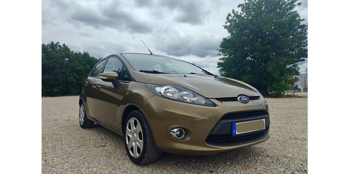 Ford Fiesta 125.000 km 4.200 &euro; Nürnberg 90439