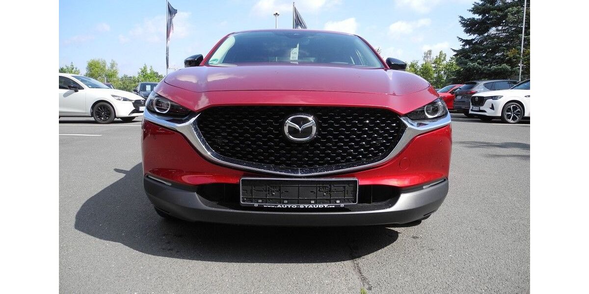 Mazda CX-30 52.888 km 19.990 &euro; Zirndorf 90513