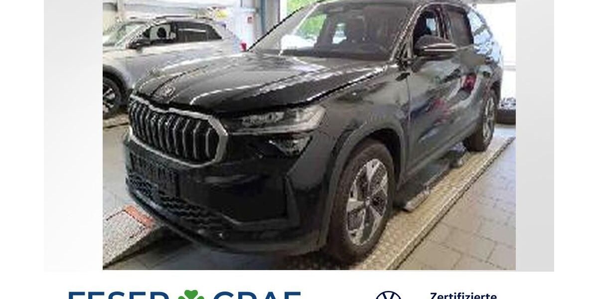 Skoda Kodiaq 96.048 km 35.606 &euro; Nürnberg 90411