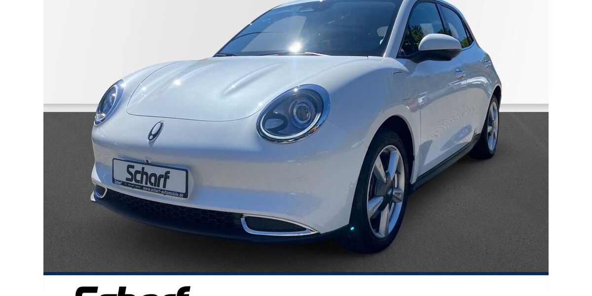GWM Ora 03 17.914 km 16.590 &euro; Lauf 91207