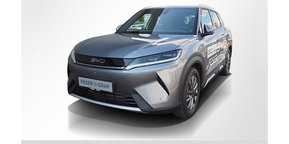 BYD ATTO 2 5.000 km 24.440 &euro; Erlangen 91058