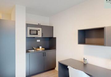 Wohnung Nürnberg Gleißhammer - 1 Zimmer, 20 m&sup2;, 510&euro; | Angebot:26348738