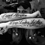 Los Fastidios, Cian Downing